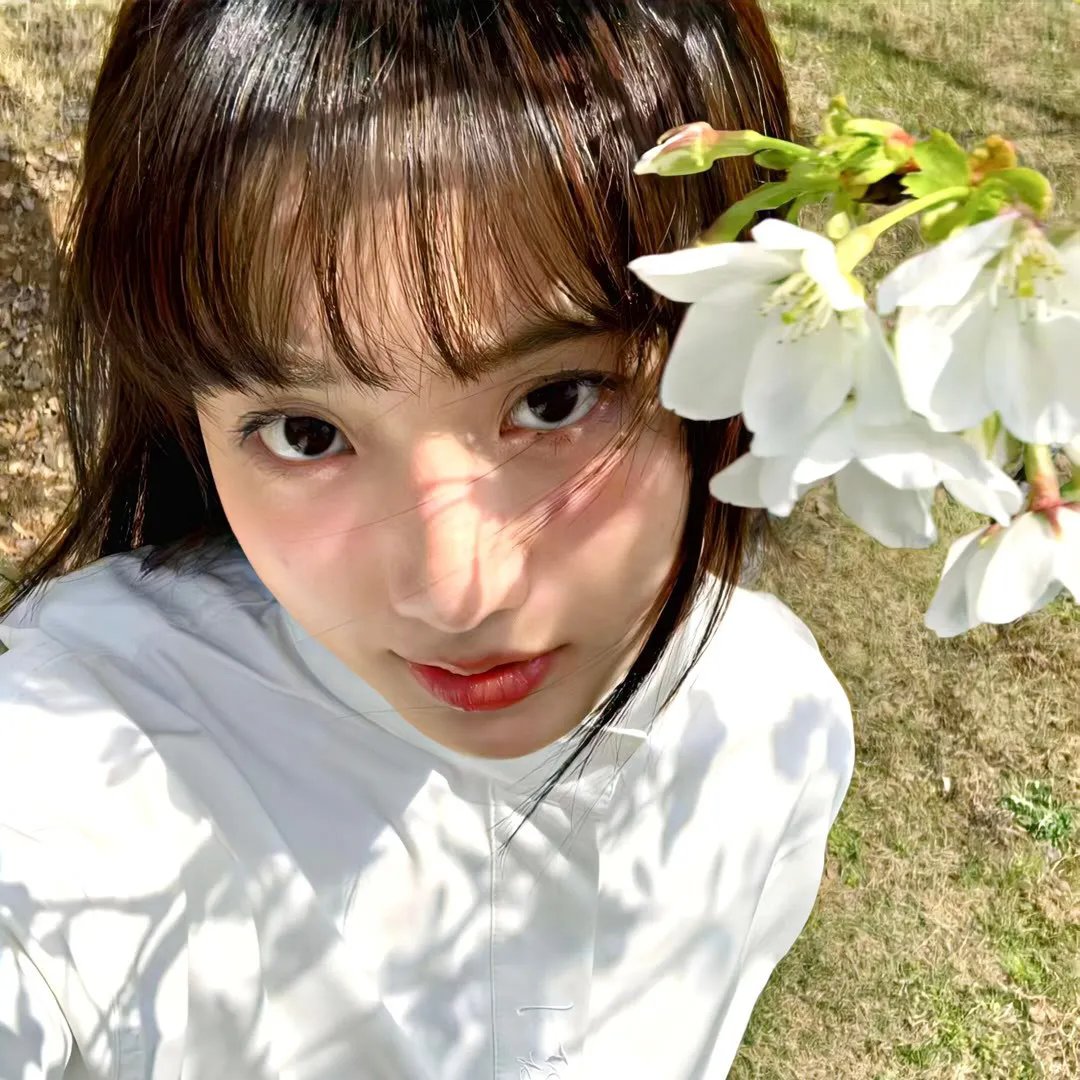 红苹果乐园2003